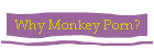 Why Monkey Porn?